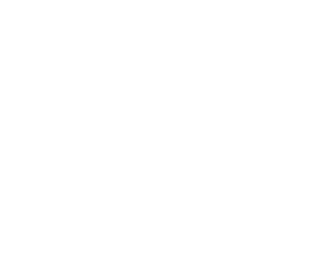 Xiaohongshu